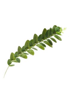 Generic Natural Artificial Foliage Plant Leaves Green 60 x 10 x 20centimeter  - Image 3