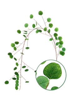 Generic Natural Artificial Hanging Garland Autumn Leaves Green 35 x 4 x 35centimeter  - Image 1