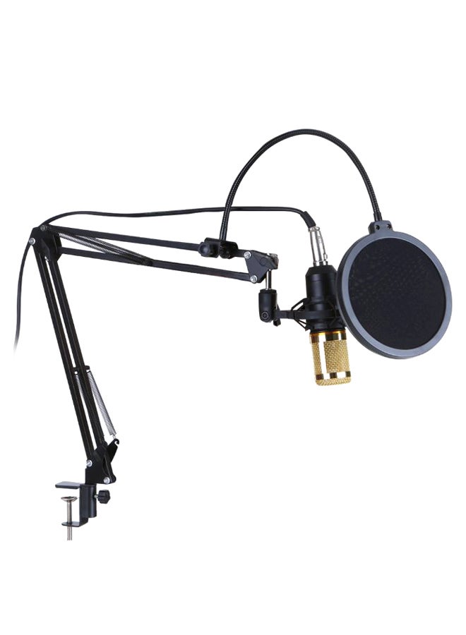 Professional Suspension Microphone Kit BM800 Gold - Image 1