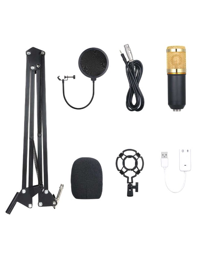 Professional Suspension Microphone Kit BM800 Gold - Image 3