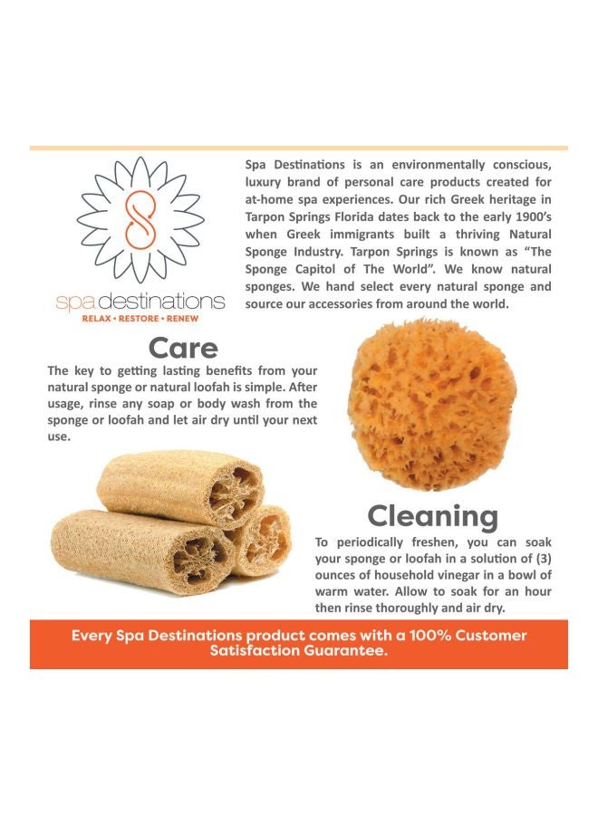 سبا ديستينايشنز فرشاة للجسم بشعيرات خشنة بني - Image 3