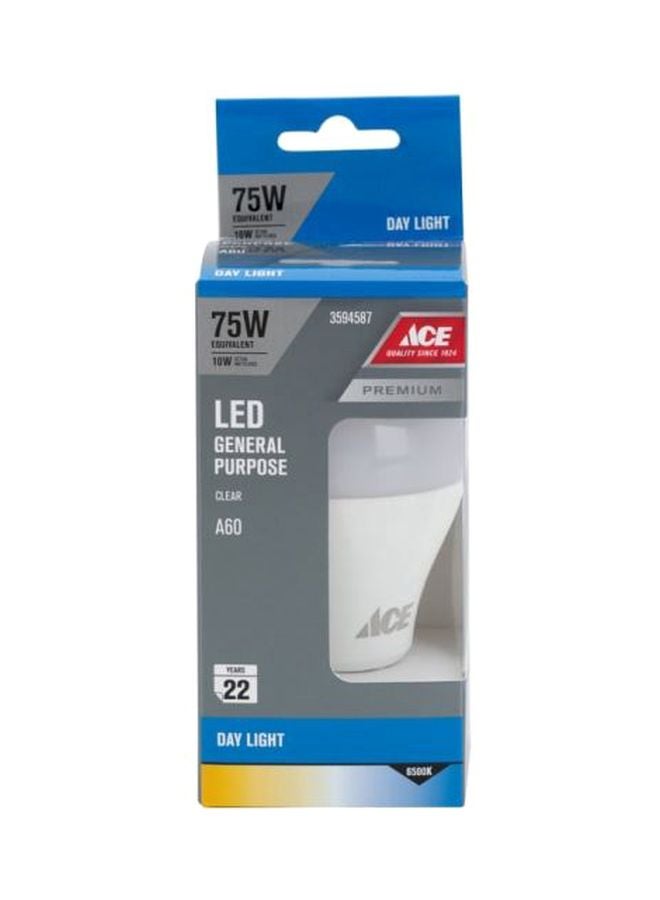 ACE General Purpose LED Bulb White