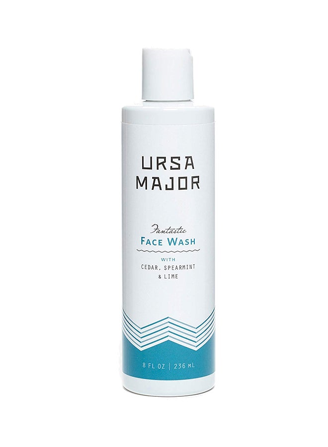 Ursa Major Fantastic Face Wash  - Image 1
