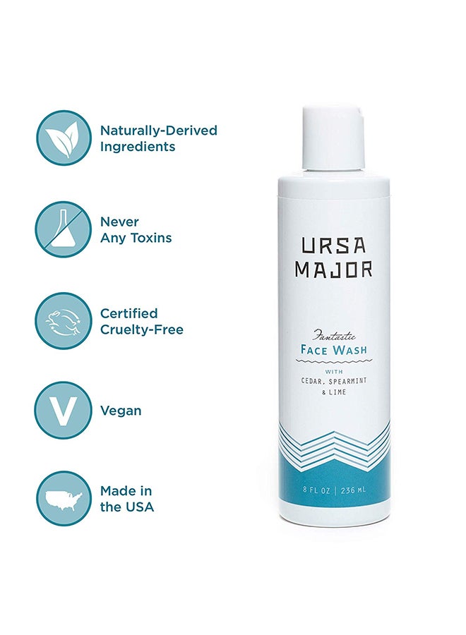 Ursa Major Fantastic Face Wash  - Image 2