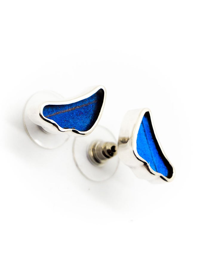 Sterling Silver Wing Shaped Morpho Didius Butterfly Earrings