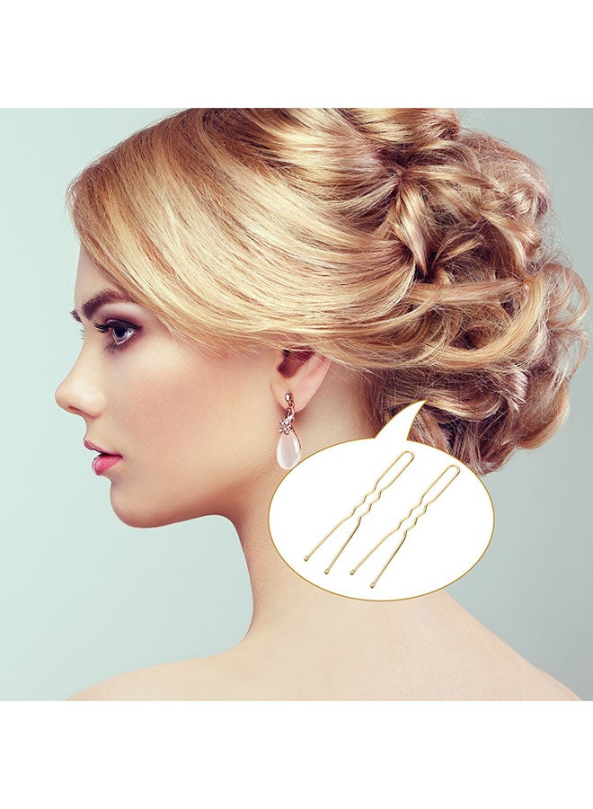 eBoot - Pack Of 100 U Shaped Hair Pins Bun Hair Pins With Box - Image 1