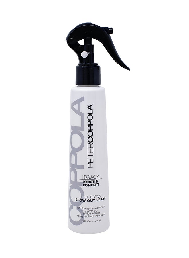 Just Blow Heat Protectant Spray For Hair