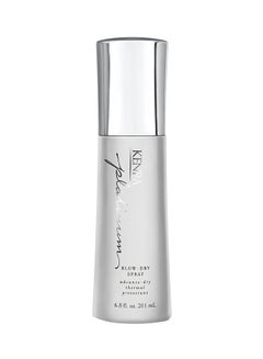 Kenra Platinum Blow-Dry Spray 