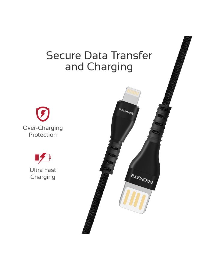 PROMATE - Reversible USB-A to Lightning Cable, High-Speed Fast Charging Syncing 2A Lightning Connector Cable With 1.2m Tangle Free Cord And Long Bend Lifespan For Apple iPhone XS, XS Max, XR, iPad Pro, iPod, VigoRay-I Black - Image 1