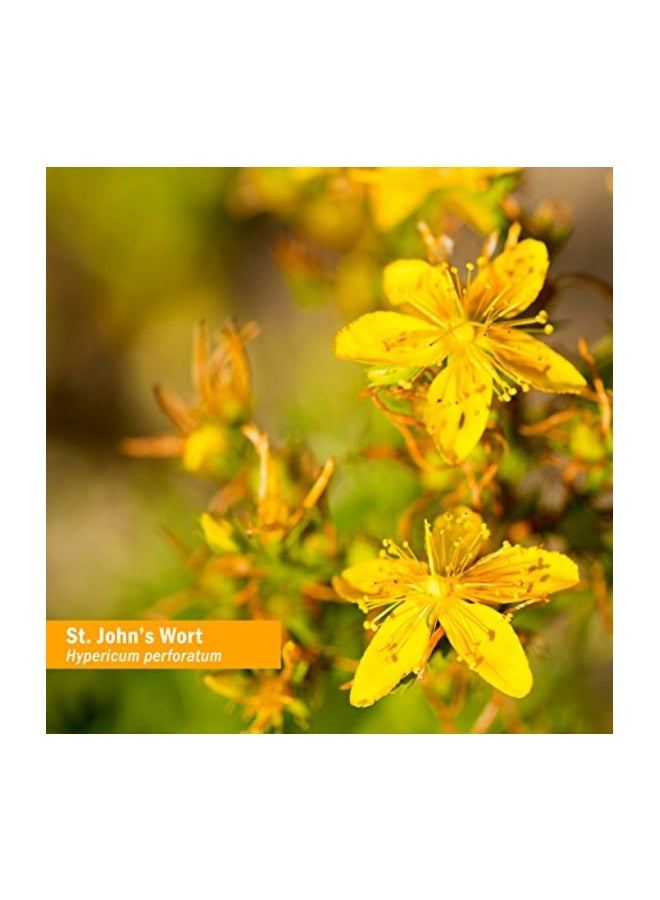 HERB PHARM St. John's Wort Nervous System Stabilizing Herbal Supplement  - Image 2