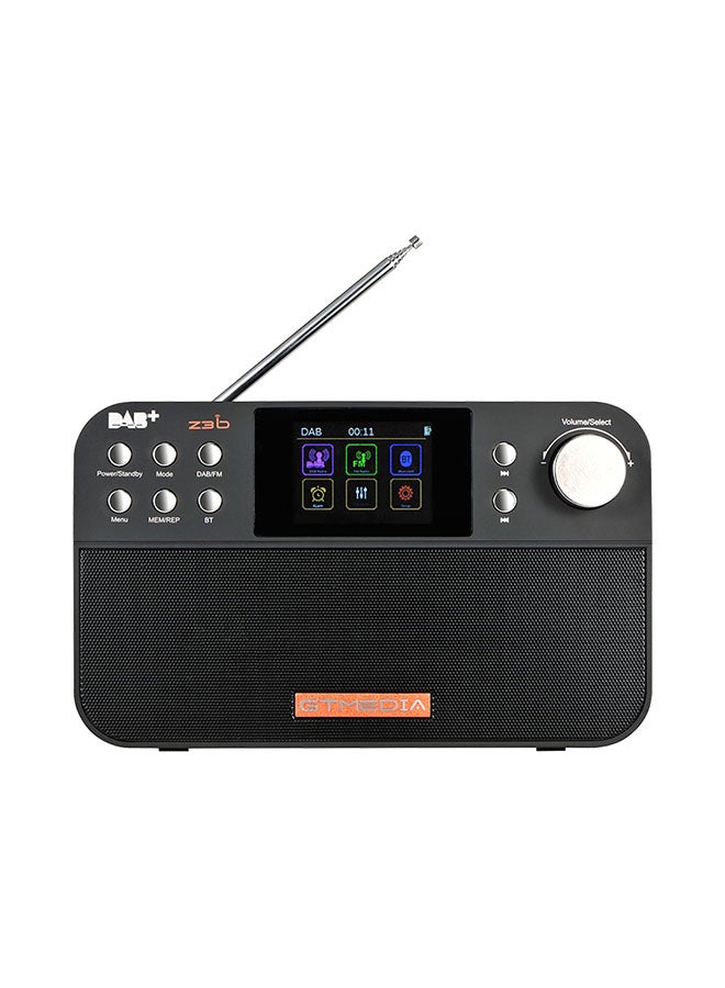 Portable Digital FM Radio V6513 Black - Image 1