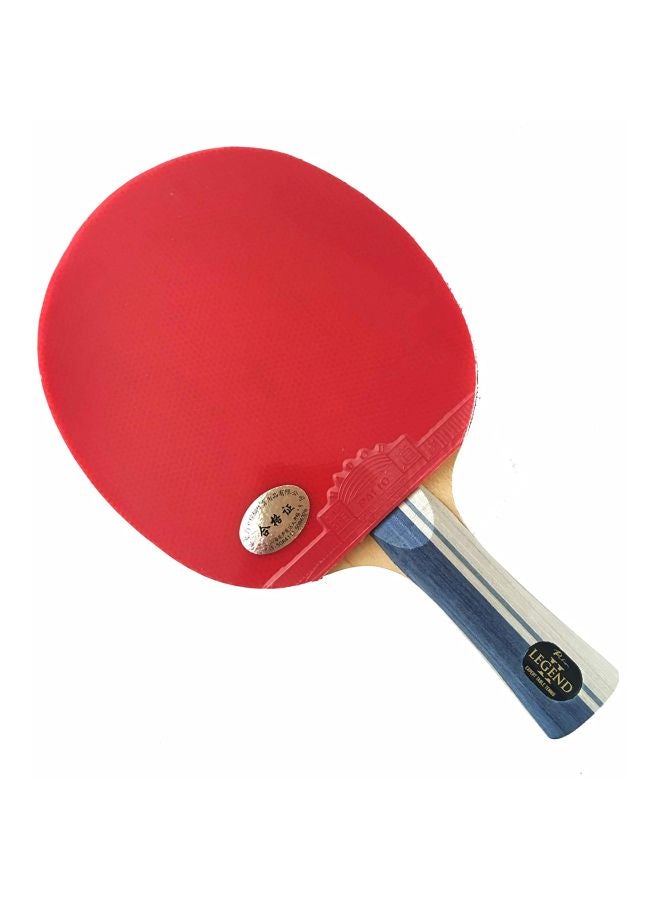 Expert Table Tennis Table Tennis Racket And Case - Image 1