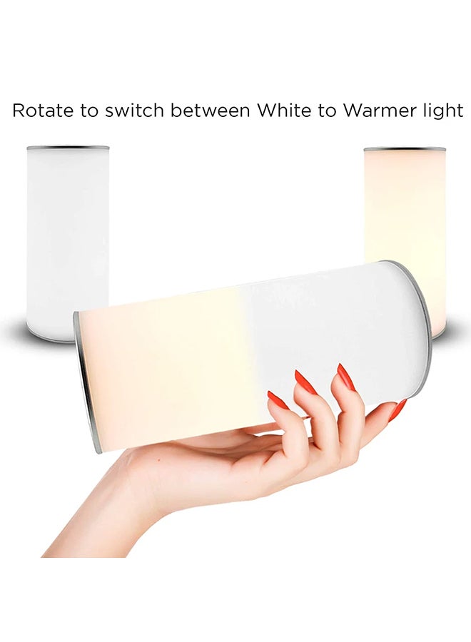 Esky Rotating Reverse Lamp Silver 8 x 3.4 x 3.4inch - Image 2