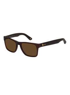 U.S. Polo Assn. Square Sunglasses  - Image 1
