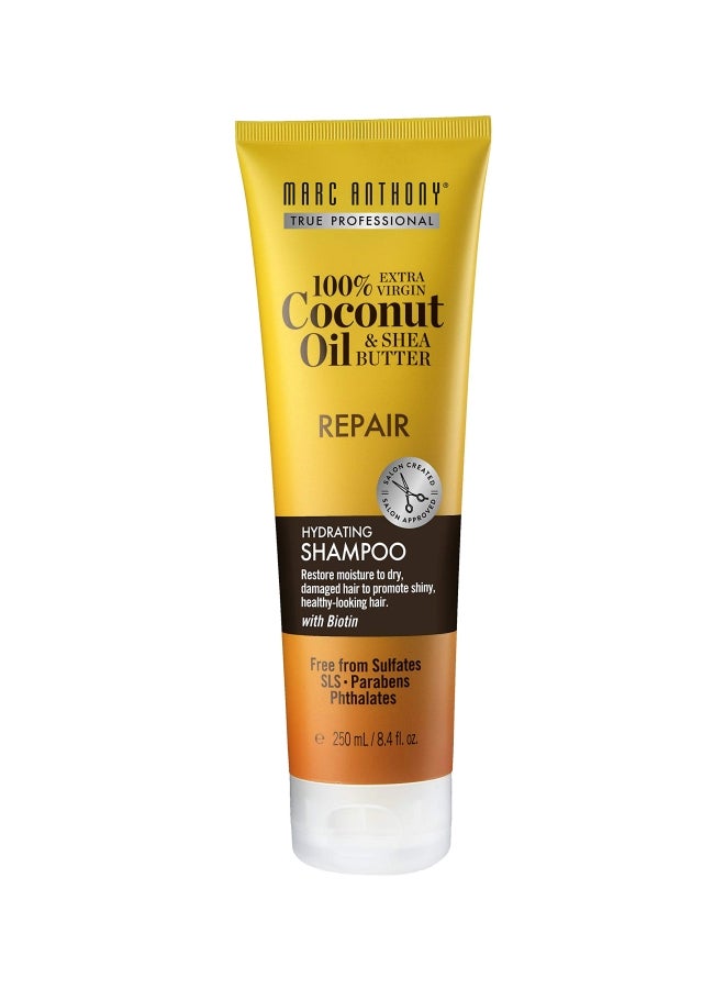 مارك أنتوني شامبو زبدة الشيا المرطب بزيت جوز الهند - Image 1