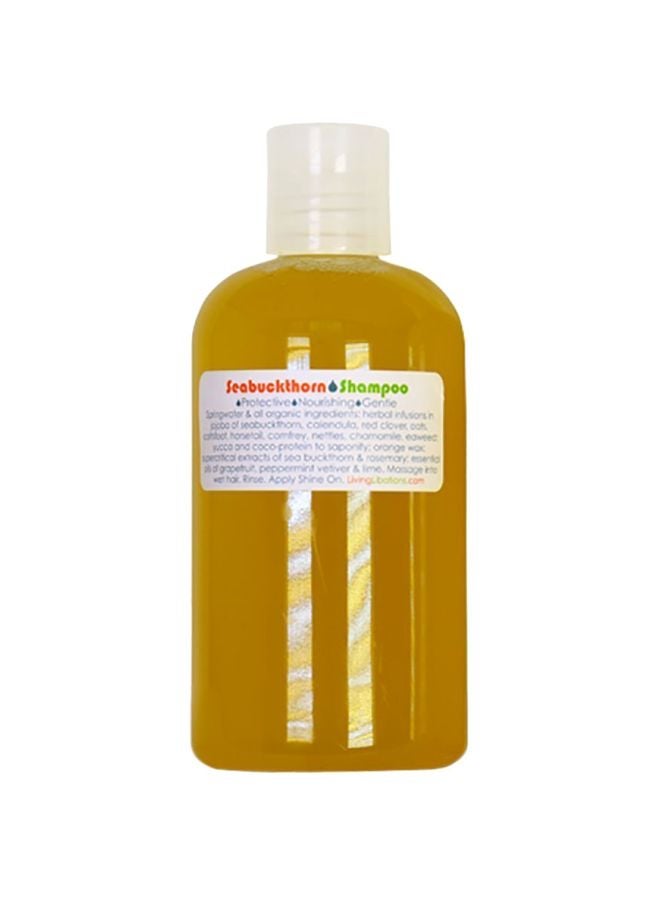 Living Libations Seabuckthorn Shampoo