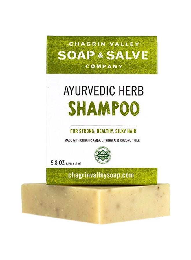 Chagrin Valley Soap & Salve Ayurvedic Herb Shampoo  - Image 1