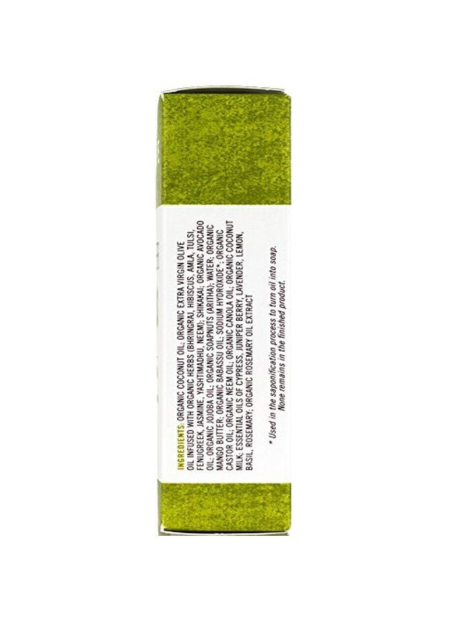 Chagrin Valley Soap & Salve Ayurvedic Herb Shampoo  - Image 2