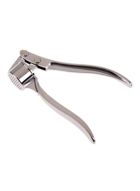 Ginger And Garlic Press Silver 17cm