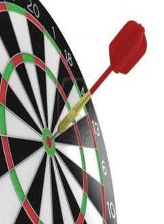 Generic Dartboard 17inch  - Image 2