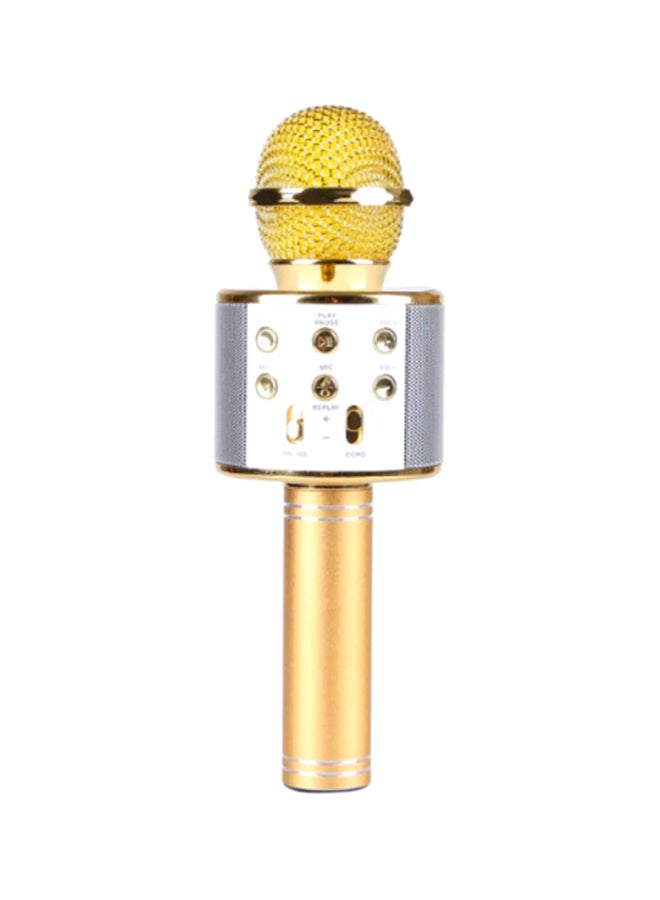WS-858 Karaoke Microphone 2720000000000 Gold