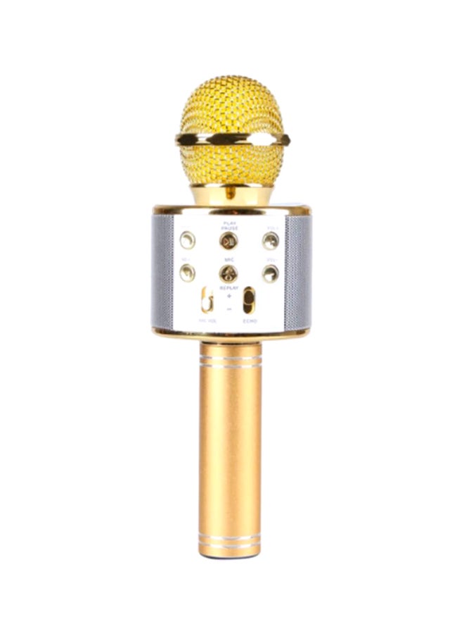 WS-858 Karaoke Microphone 2724688140367 Gold