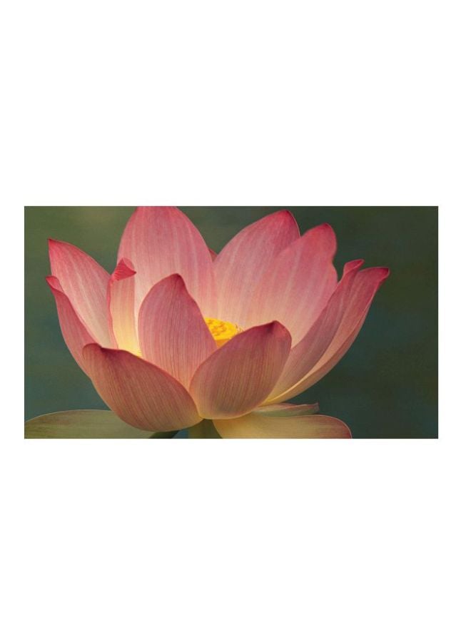 clientele Peptide Wrinkle Concealer Duowand - Image 2