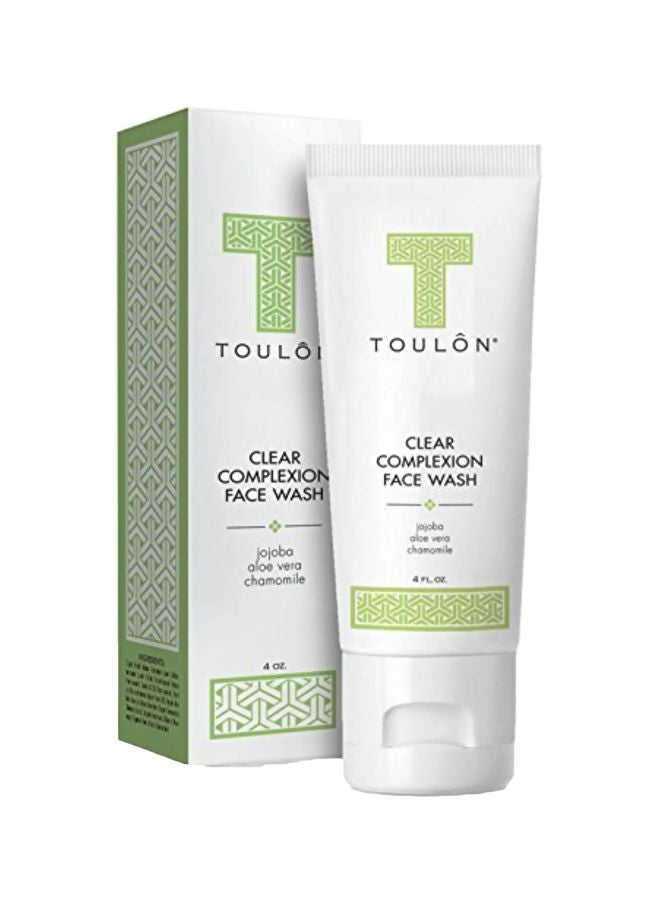 TOULON Clear Complexion Face Wash With Aloe Vera - Image 1