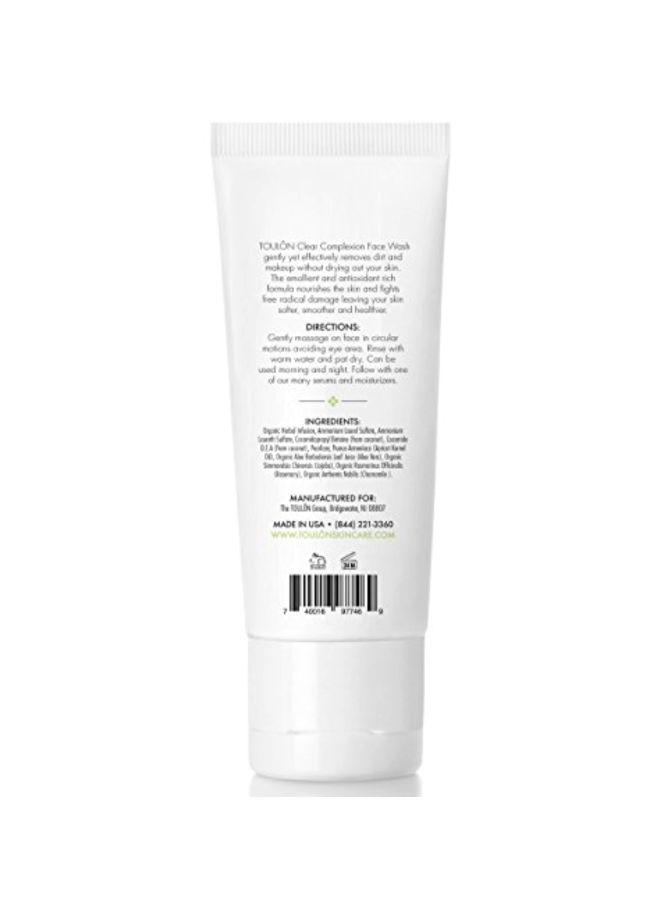 TOULON Clear Complexion Face Wash With Aloe Vera - Image 3