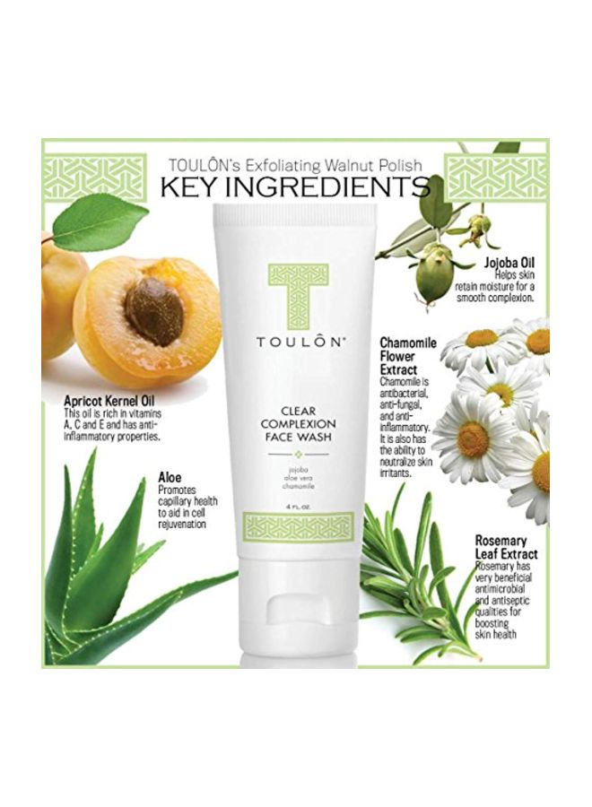 TOULON Clear Complexion Face Wash With Aloe Vera - Image 4