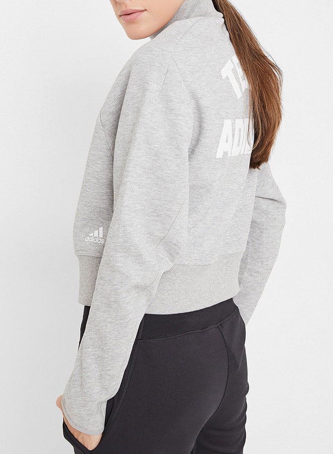 VRCT Sweatshirt Grey/White - v1571403492/N30852987V_3