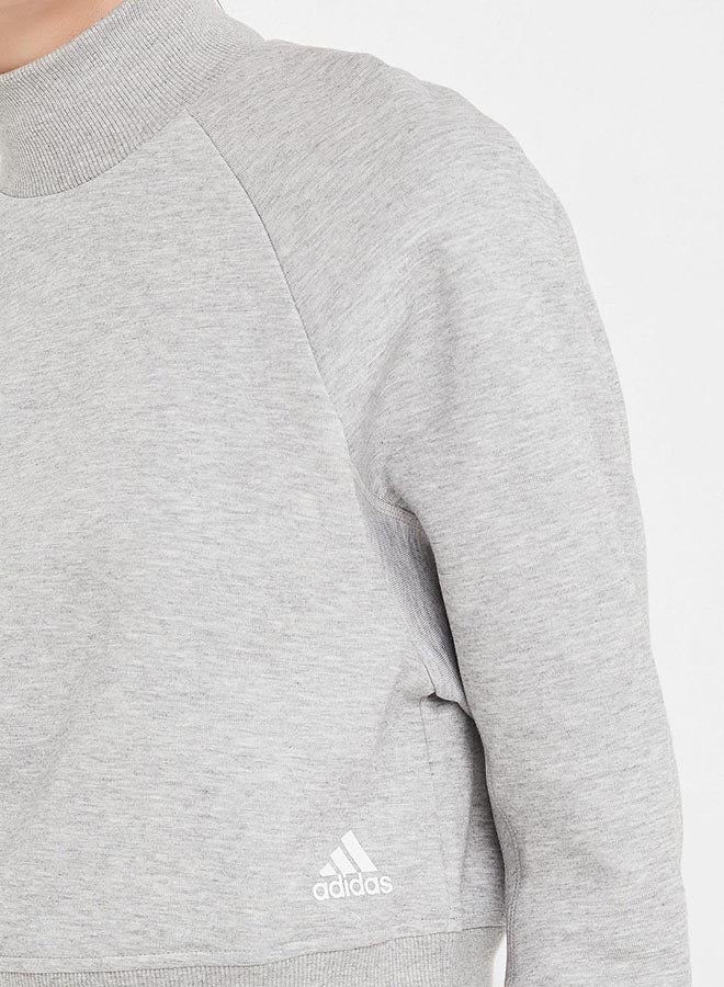 VRCT Sweatshirt Grey/White - v1571403495/N30852987V_4