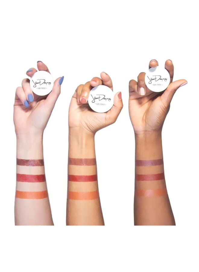 Jillian Dempsey Lid Tint Eyeshadow Peach - Image 2