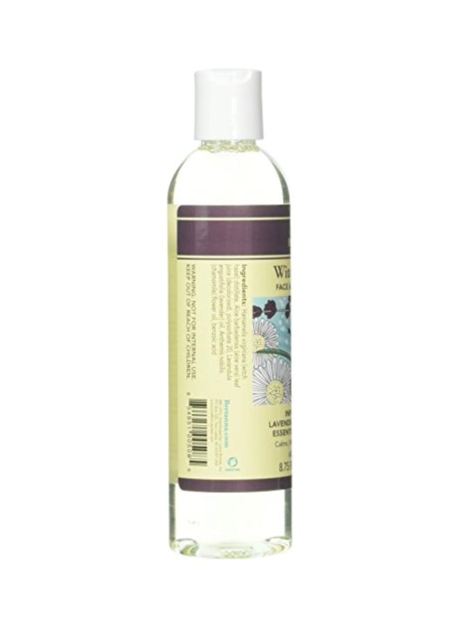 Witch Hazel Toner - v1571556600/N31101634A_2