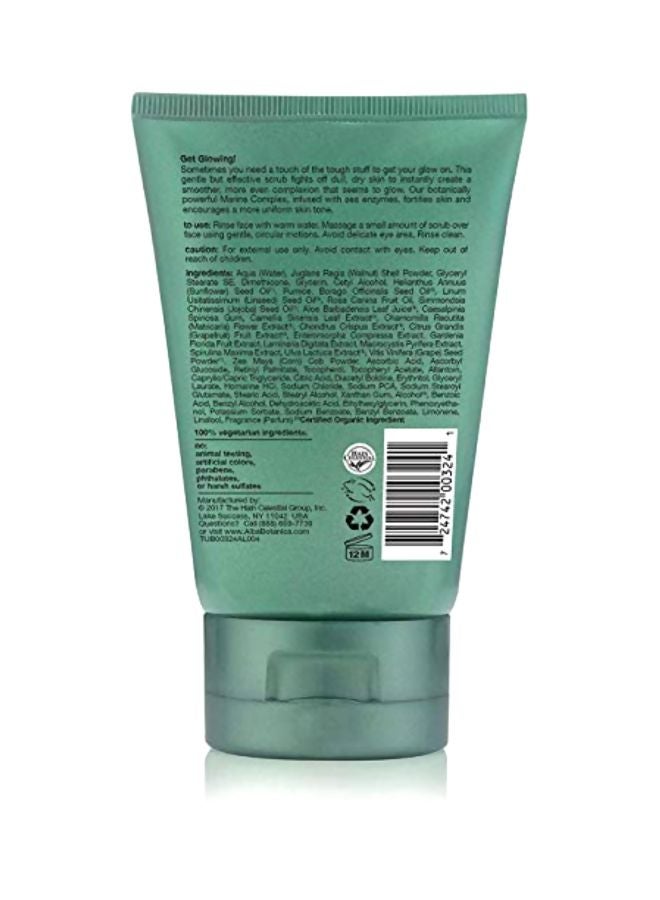 Alba Botanica Sea Algae And Enzyme Facial Scrub  - Image 2