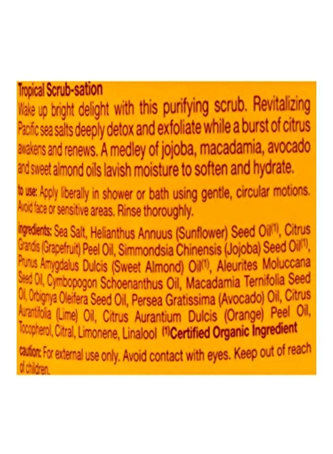 Alba Botanica Sea Salt Body Scrub  - Image 2
