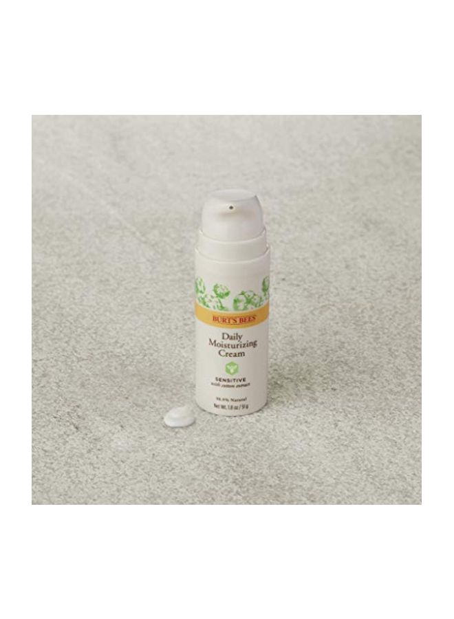 بيرتس بيز كريم لترطيب الوجه للاستخدام اليومي - Image 4