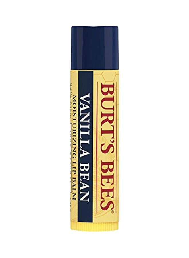 Burt's Bees Vanilla Bean Moisturizing Lip Balm - Image 1