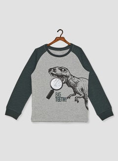 NAME IT Kids Dinosaur Raglan Long Sleeve T-Shirt Green Gables  - Image 1