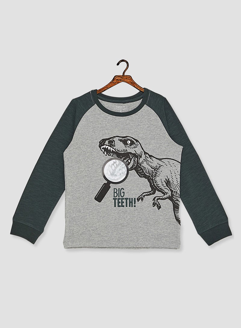 NAME IT - Kids Dinosaur Raglan Long Sleeve T-Shirt Green Gables - Image 1