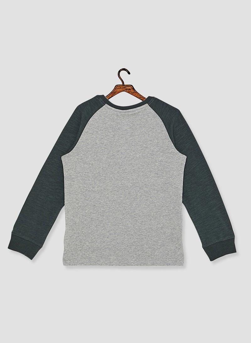 NAME IT - Kids Dinosaur Raglan Long Sleeve T-Shirt Green Gables - Image 1