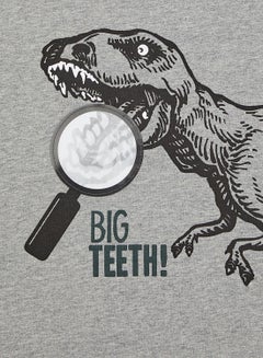 NAME IT Kids Dinosaur Raglan Long Sleeve T-Shirt Green Gables  - Image 3