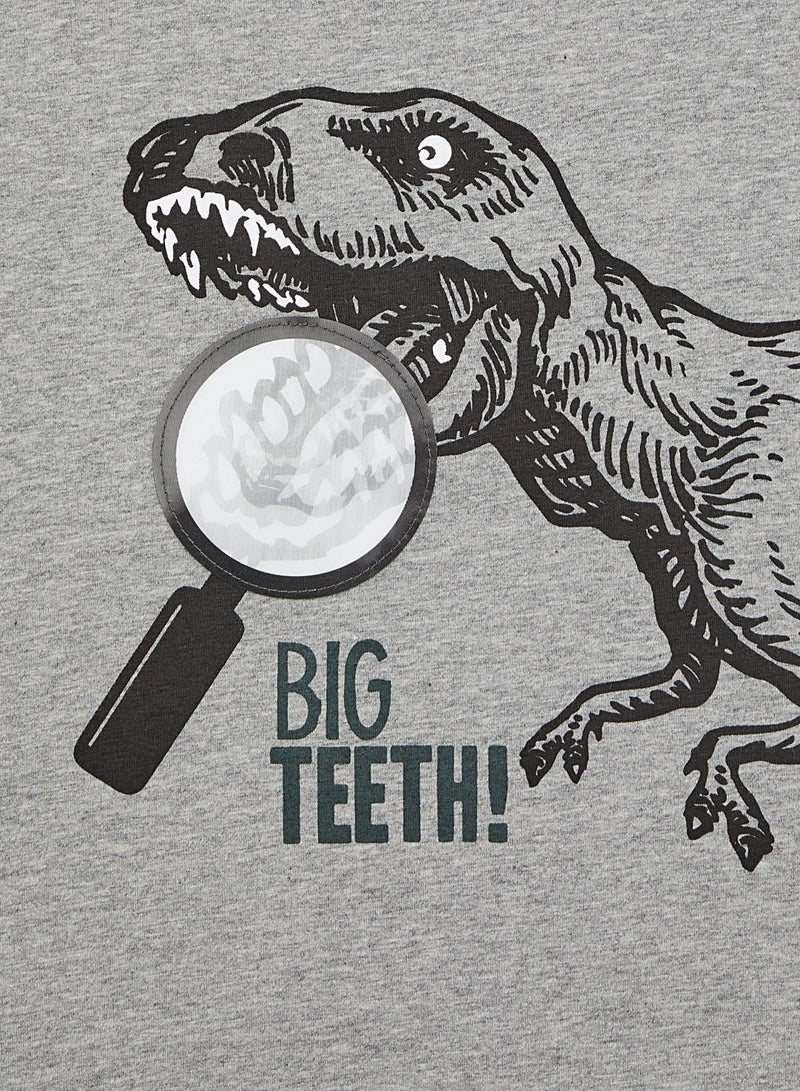 NAME IT - Kids Dinosaur Raglan Long Sleeve T-Shirt Green Gables - Image 1
