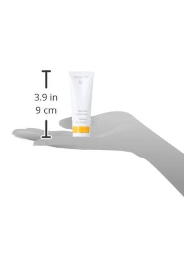 Dr. Hauschka Melissa Day Cream - Image 3