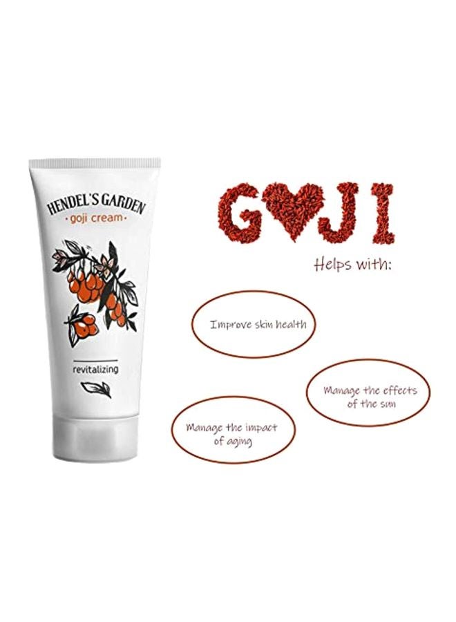 Revitalizing Goji Cream - v1571738665/N31227819A_4