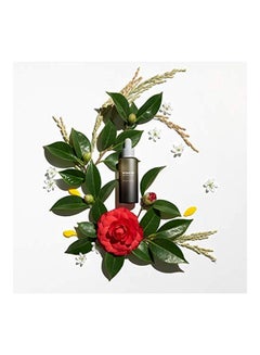 Haruharu Wonder Black Rice Facial Oil  - Image 3
