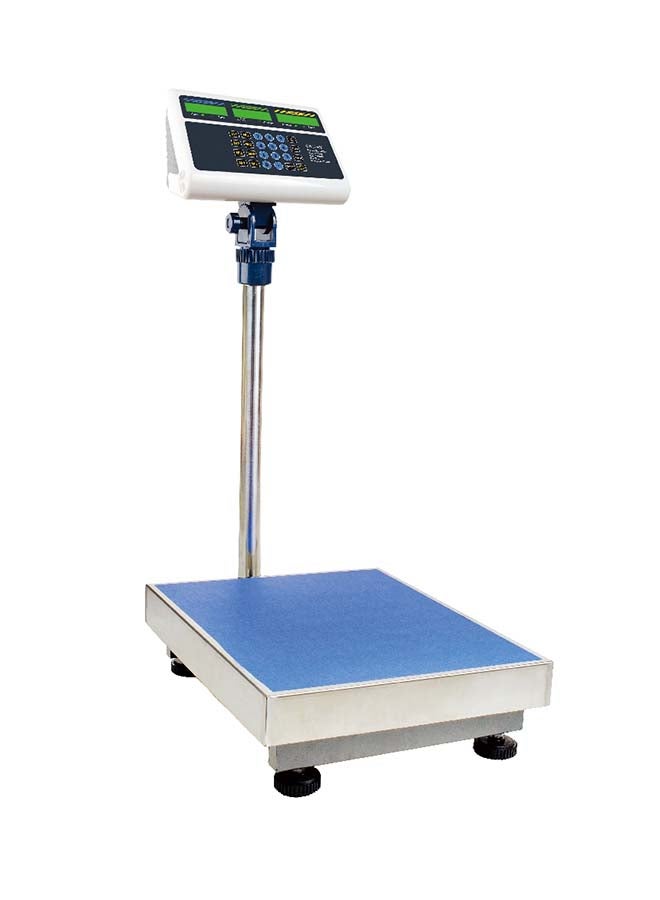 CAMRY Mechanical Platform Scale 300kg Multicolour 20centimeter