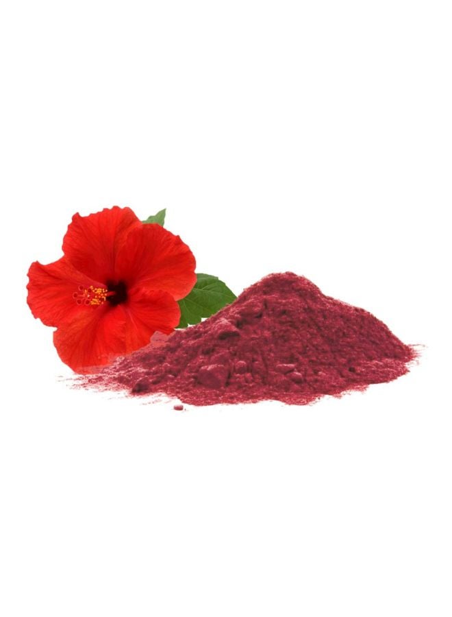 Hibiscus Flower Powder Red - v1572349745/N29298882A_3