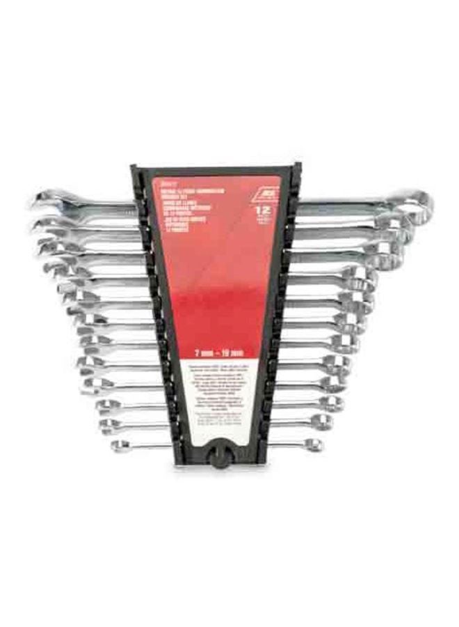 ACE 12-Piece Wrench Set Silver
