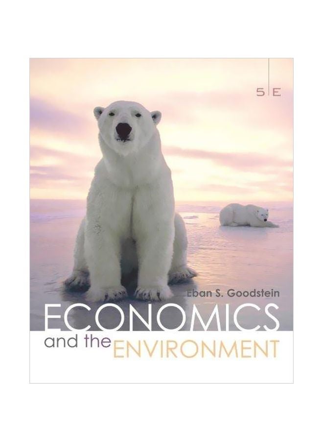 Economics And The Environment Paperback English by Eban S. Goodstein - 1 December 2007 